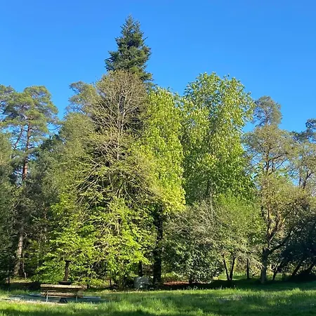 Maison De Maitre - Dans Foret Royale Avec Piscine Et * Sainte-Croix-Volvestre